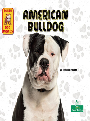 cover image of American Bulldog
